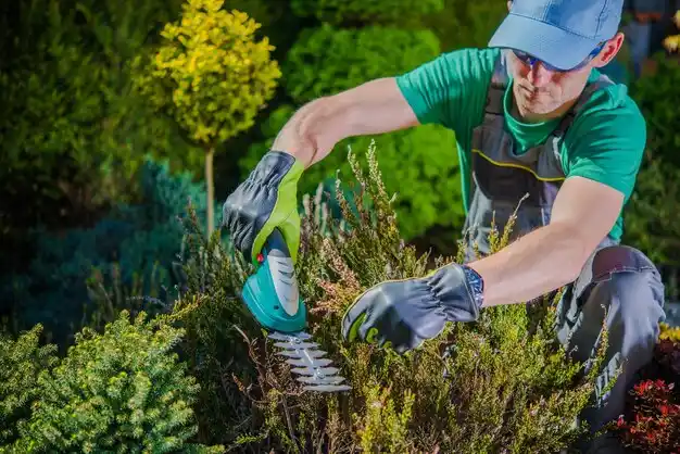 landscaping services West Chatham